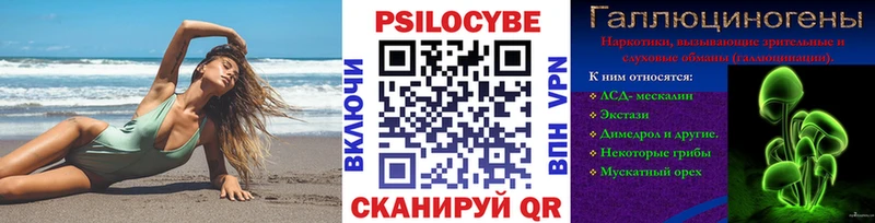 Купить  Аркадак  Псилоцибиновые грибы мухоморы 